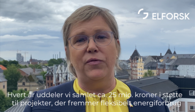 ELFORSK formand, Susanne Juhl fortæller om muligheder for medfinansiering via ELFORSK